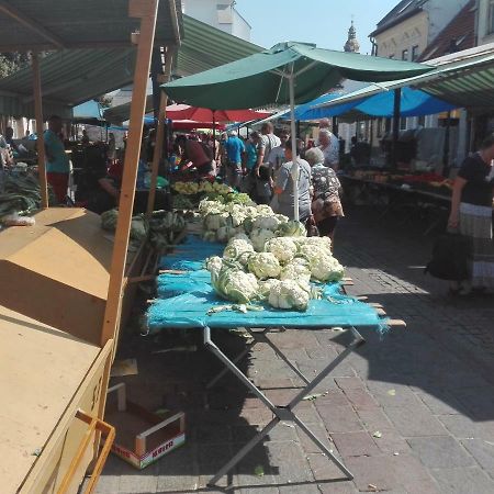 Kukučínova 6 Košice Exterior foto